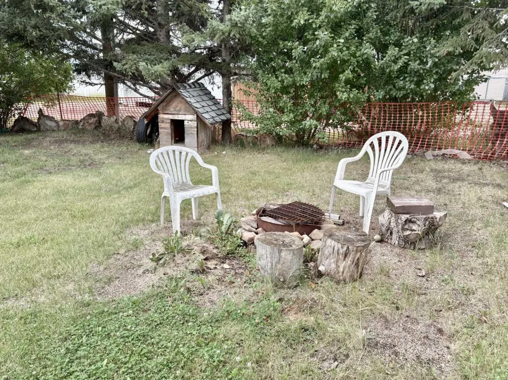 4923 52 Street Innisfree AB T0B 2G0