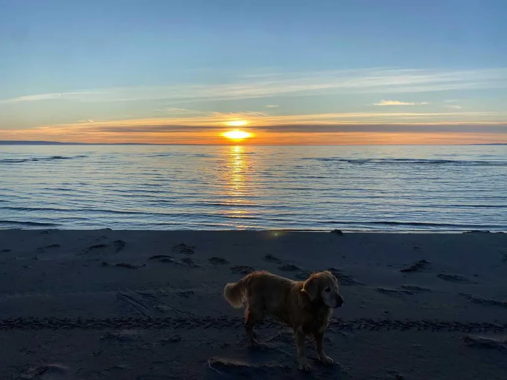 38 Pine Drive Marten Beach AB T0G2A0