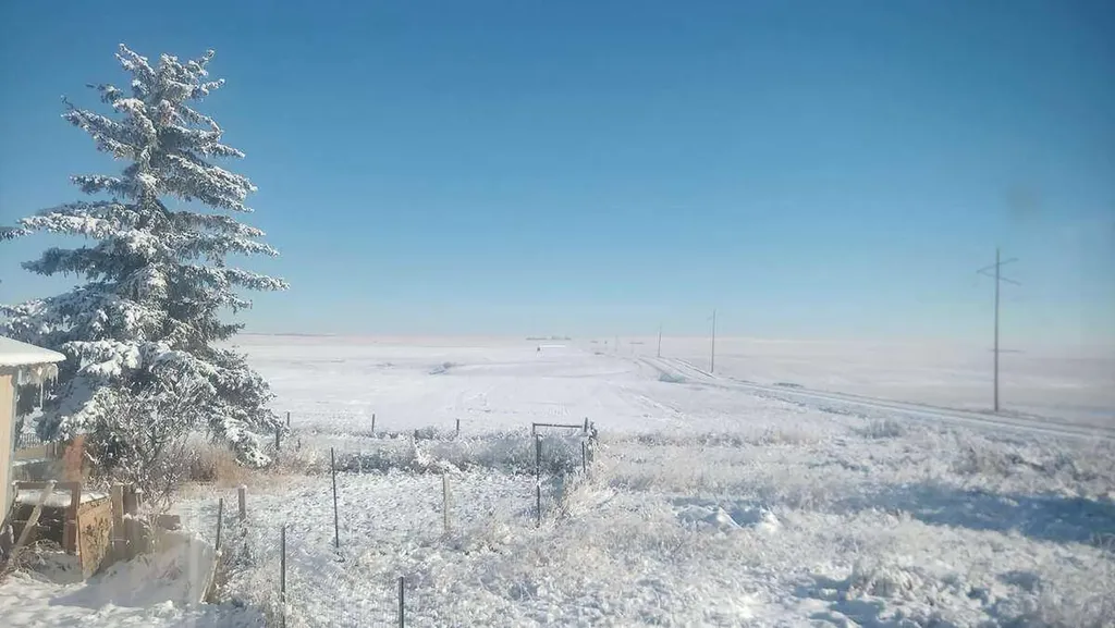 224074 Twp Road 322 Rural Kneehill County AB T0M 2A0