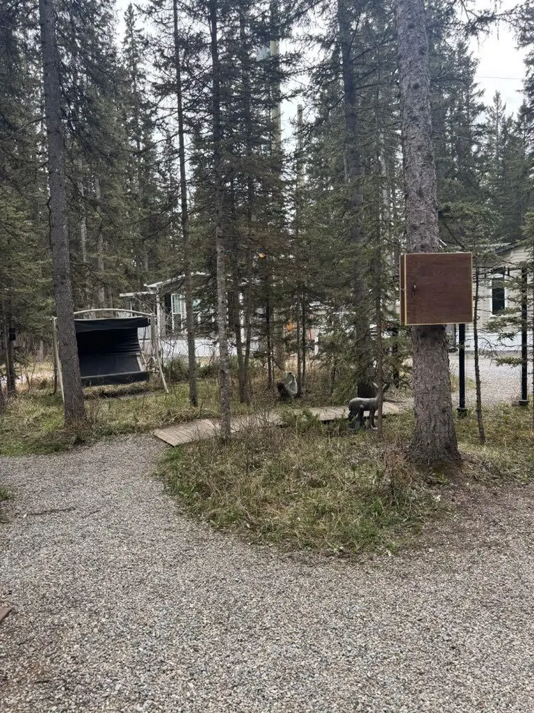 25 Timber Trail Sundre AB T0M 1X0