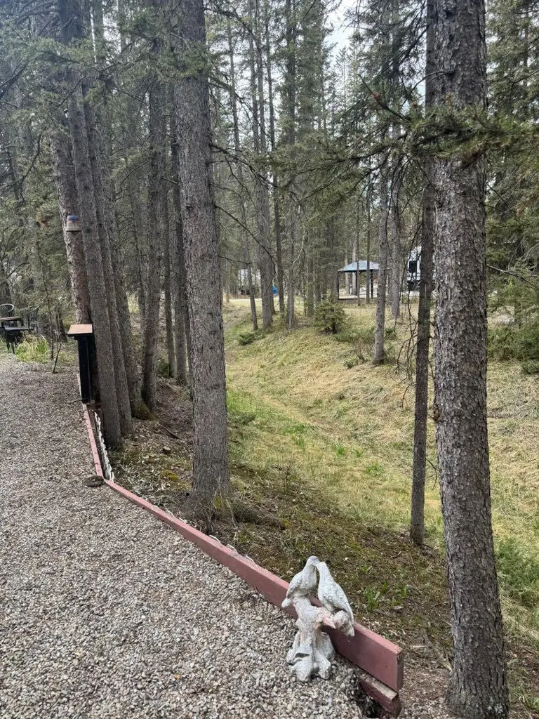25 Timber Trail Sundre AB T0M 1X0