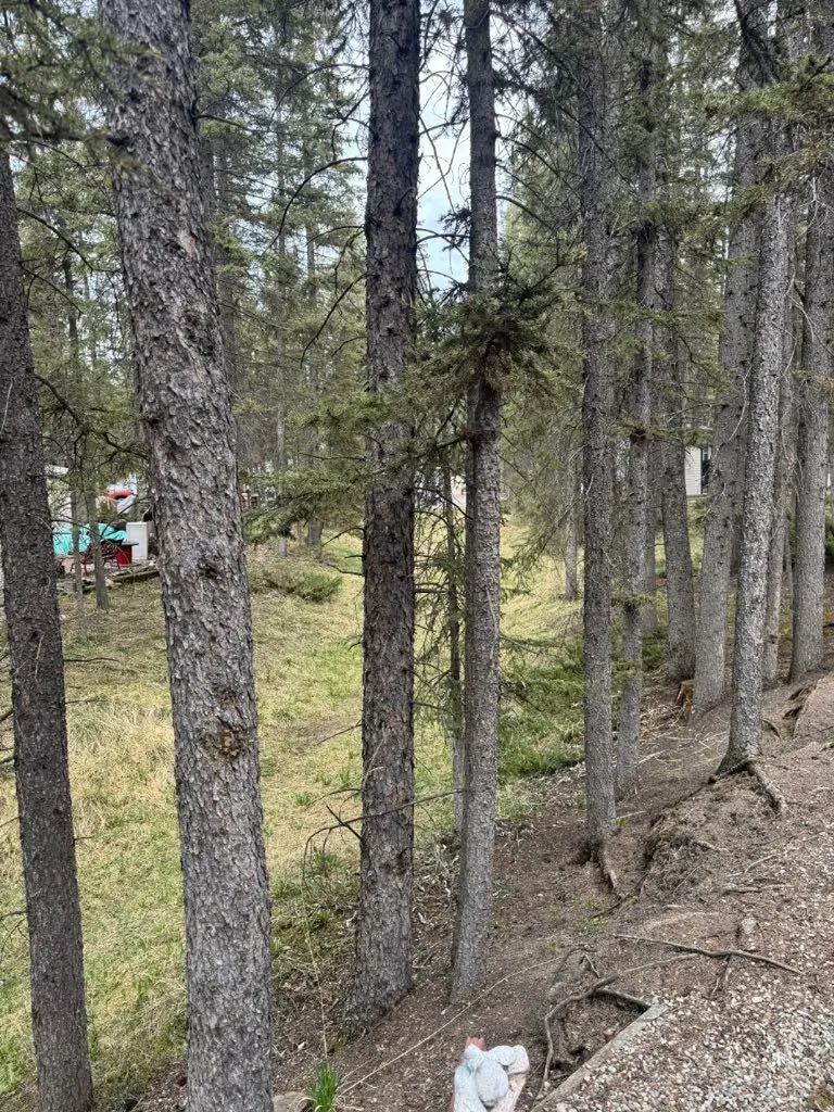 25 Timber Trail Sundre AB T0M 1X0