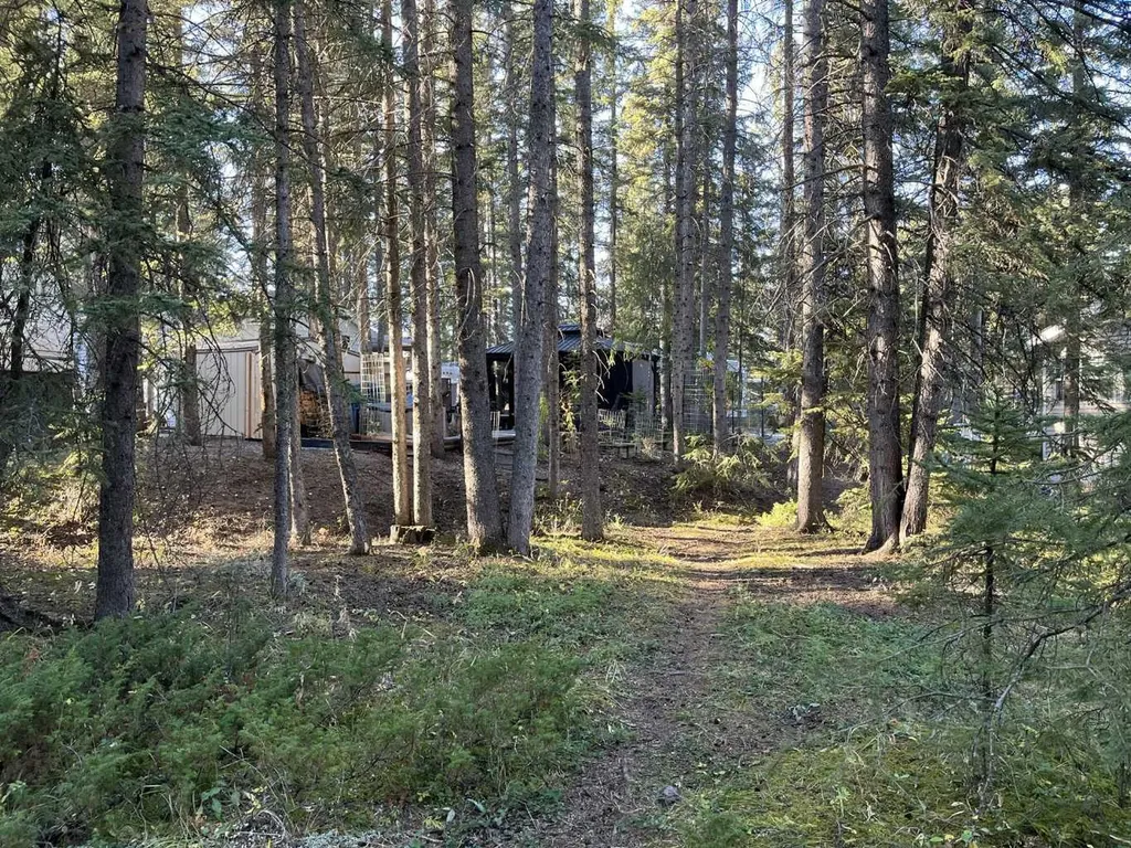 5230 Highway 27 Rural Mountain View County AB T0M1X0