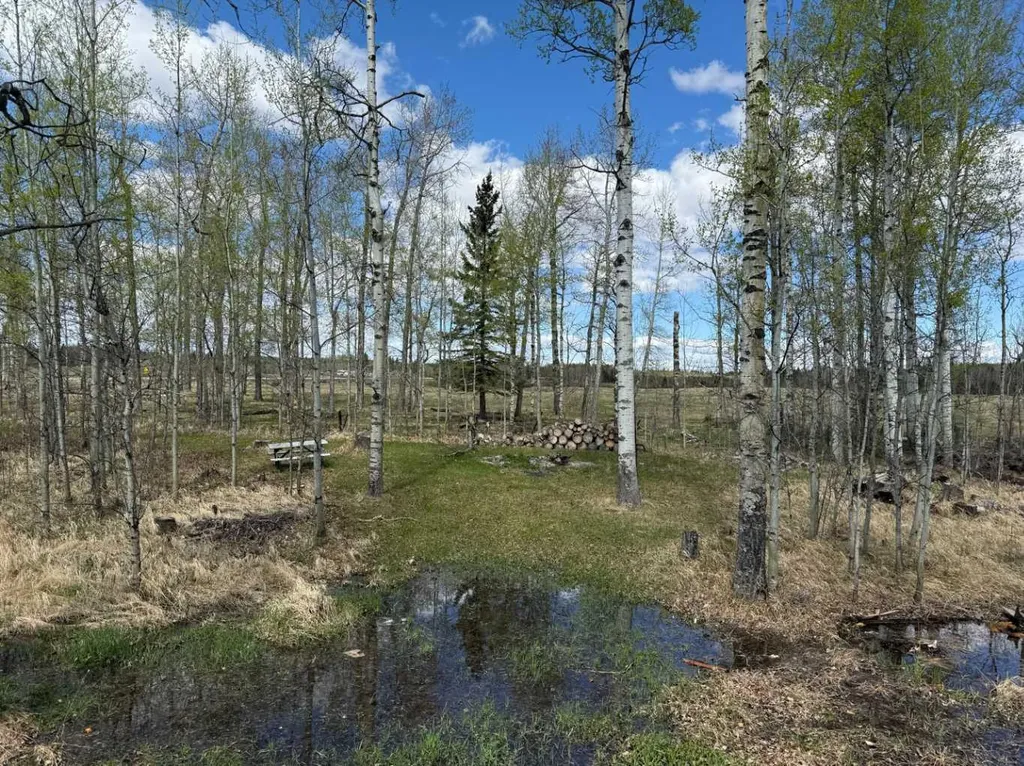 344019 22 Highway Rural Clearwater County AB T0M1C0