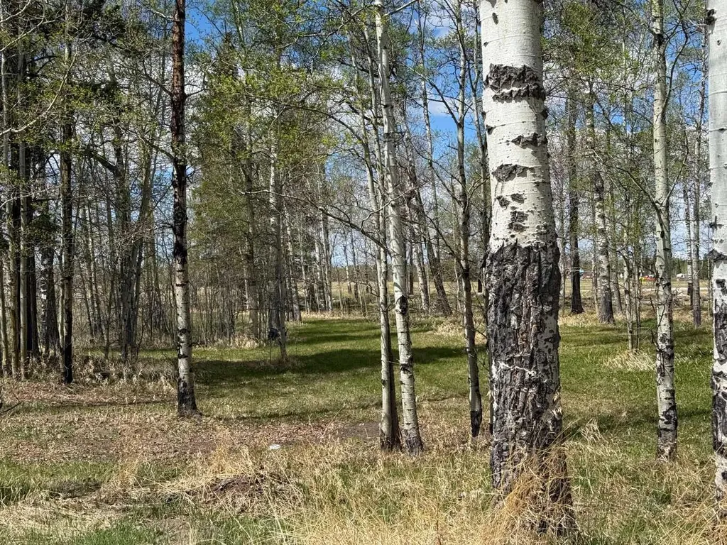 344019 22 Highway Rural Clearwater County AB T0M1C0