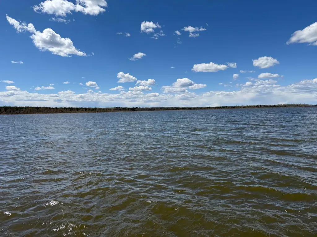 408 461032 Highway 13 Buck Lake AB T0C0T0