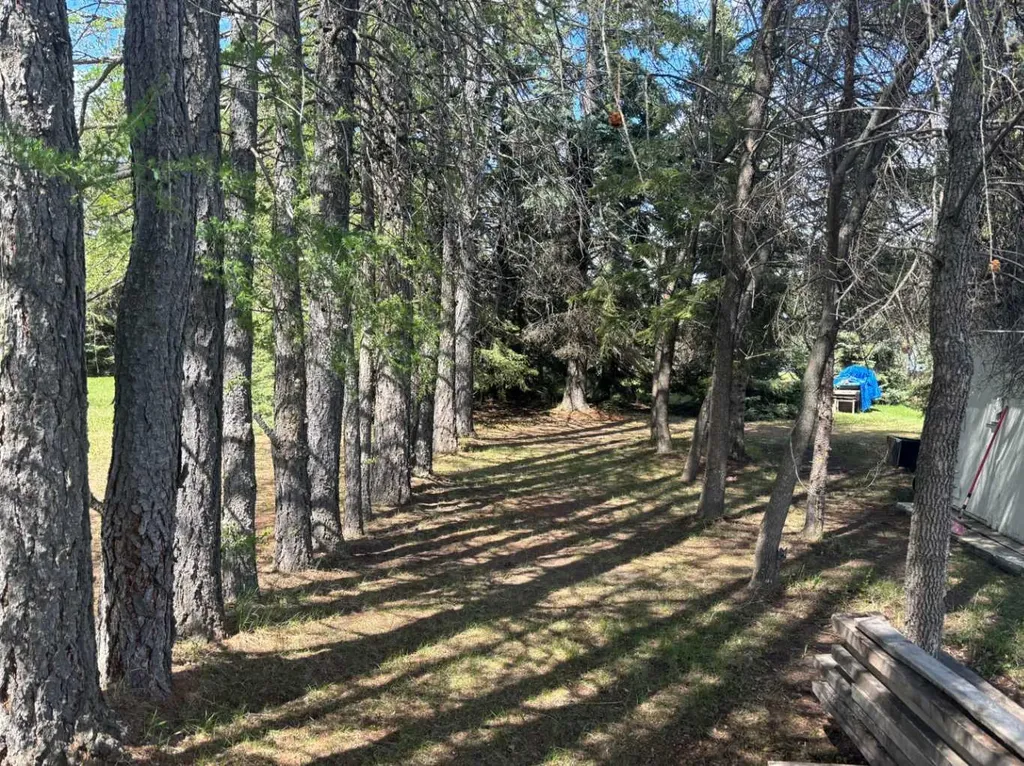 592031 Range Road 104 Rural Woodlands County AB T7S 1N9