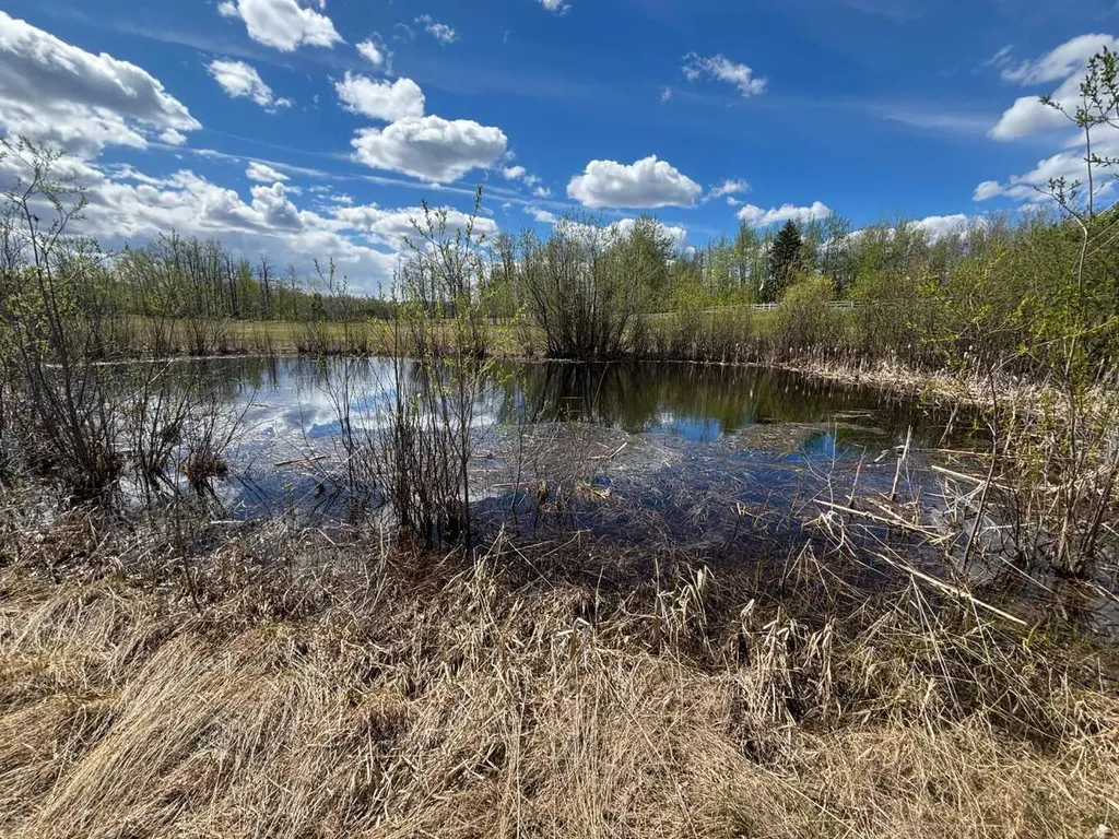 592031 Range Road 104 Rural Woodlands County AB T7S 1N9