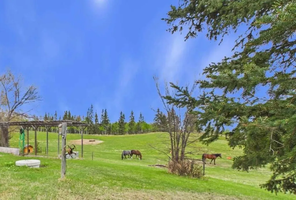 2168 587 Highway Rural Red Deer County AB T0M 0K0