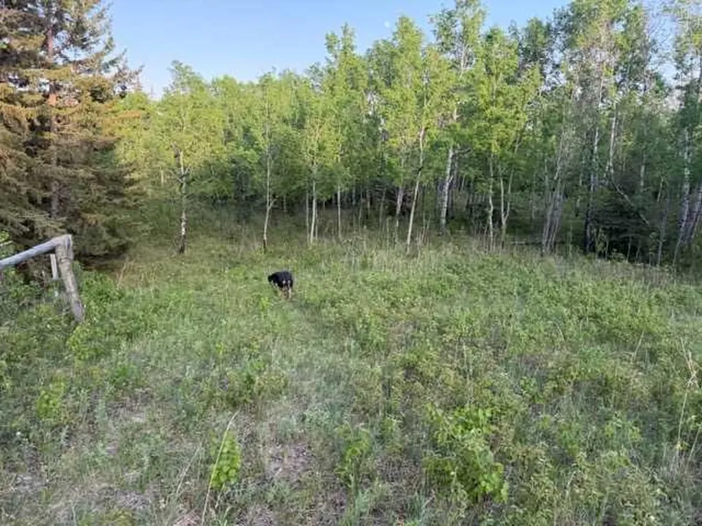 2168 587 Highway Rural Red Deer County AB T0M 0K0