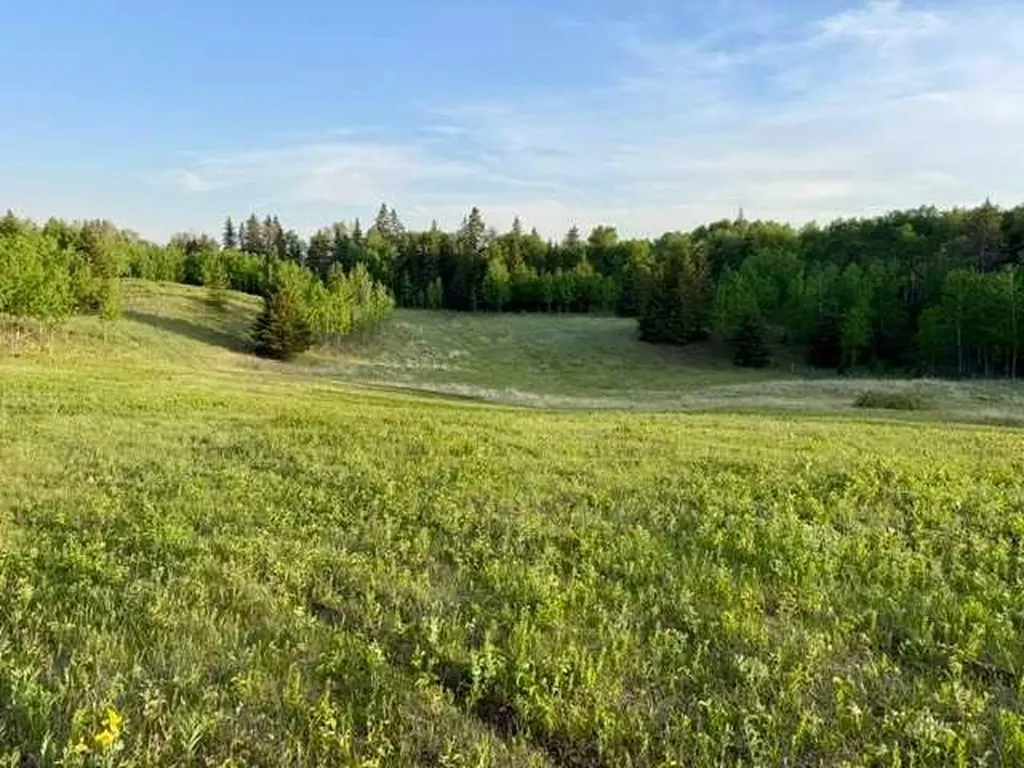 2168 587 Highway Rural Red Deer County AB T0M 0K0