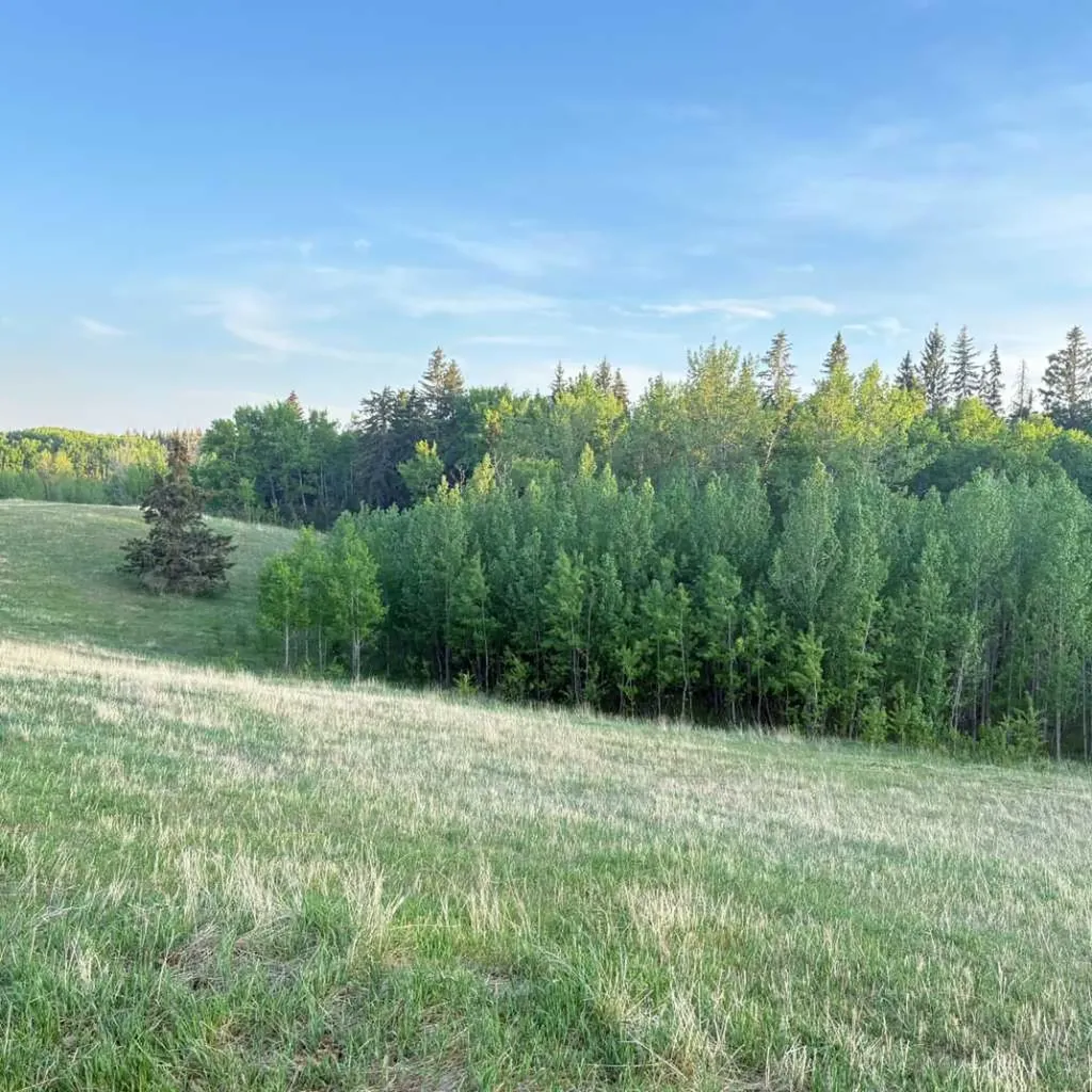 2168 587 Highway Rural Red Deer County AB T0M 0K0