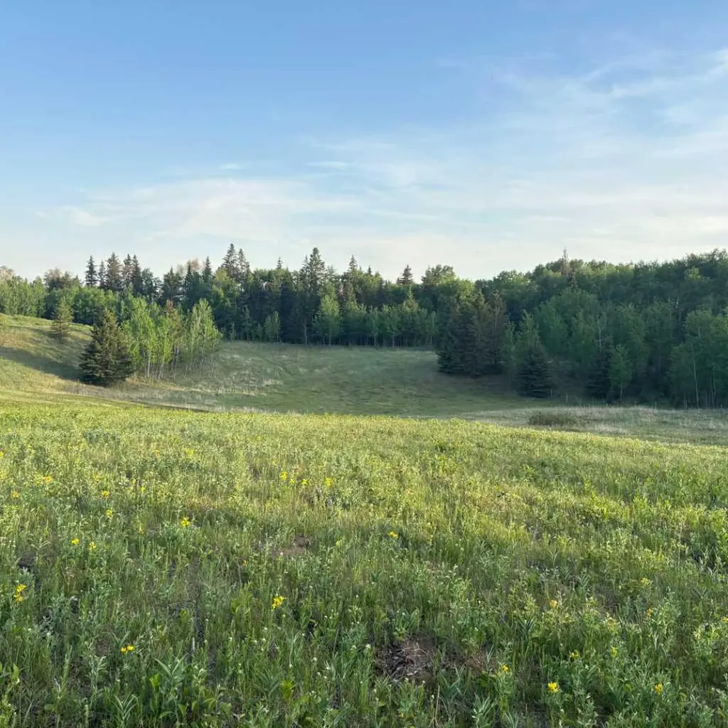 2168 587 Highway Rural Red Deer County AB T0M 0K0