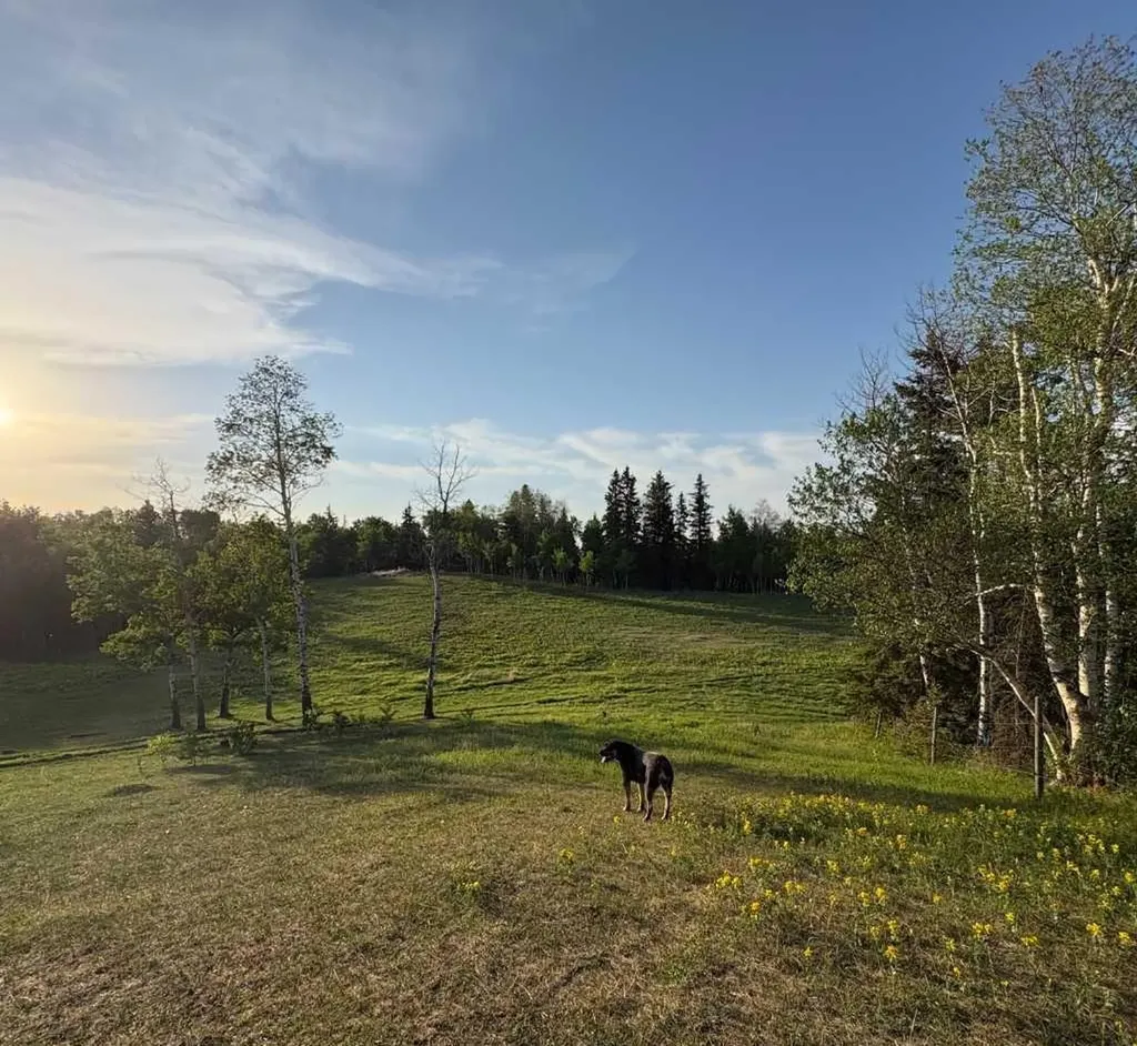 2168 587 Highway Rural Red Deer County AB T0M 0K0
