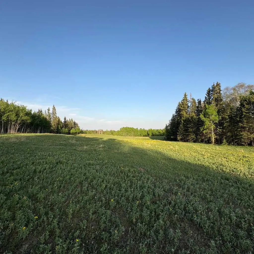 2168 587 Highway Rural Red Deer County AB T0M 0K0