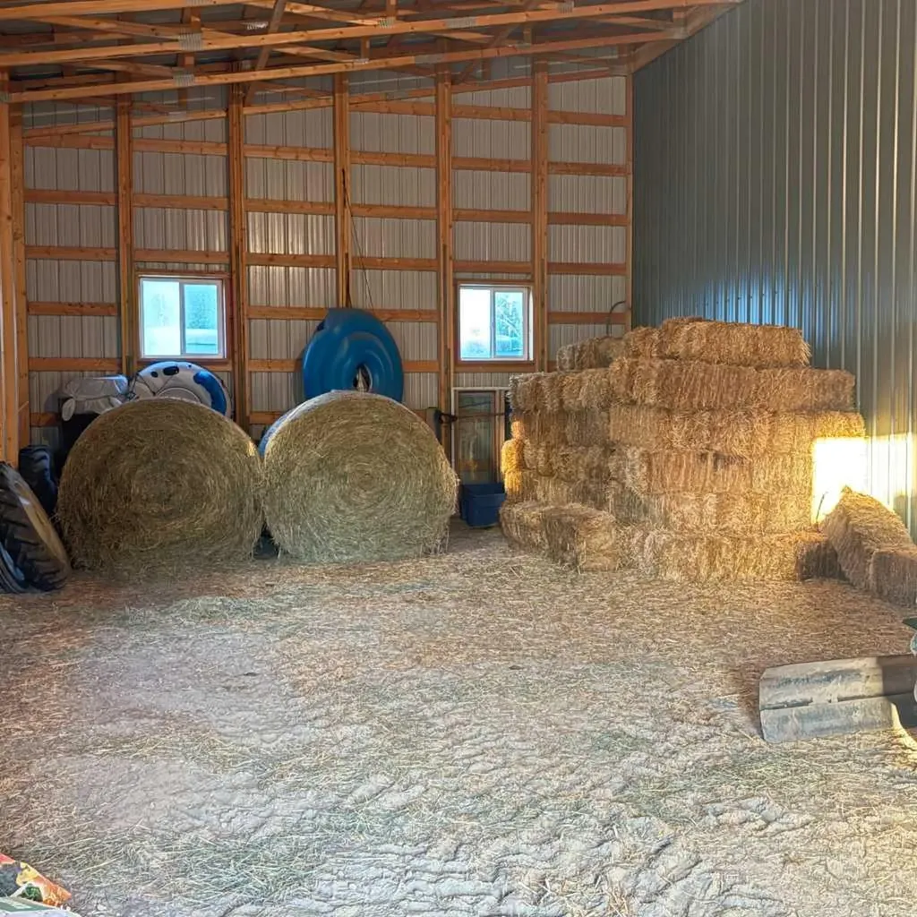 2168 587 Highway Rural Red Deer County AB T0M 0K0
