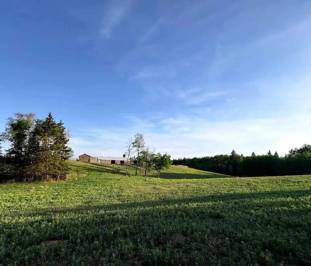 2168 587 Highway Rural Red Deer County AB T0M 0K0