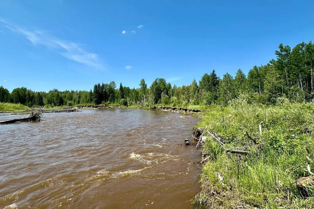 NW-18-62-6-5 Rural Woodlands County AB T0G 1A0