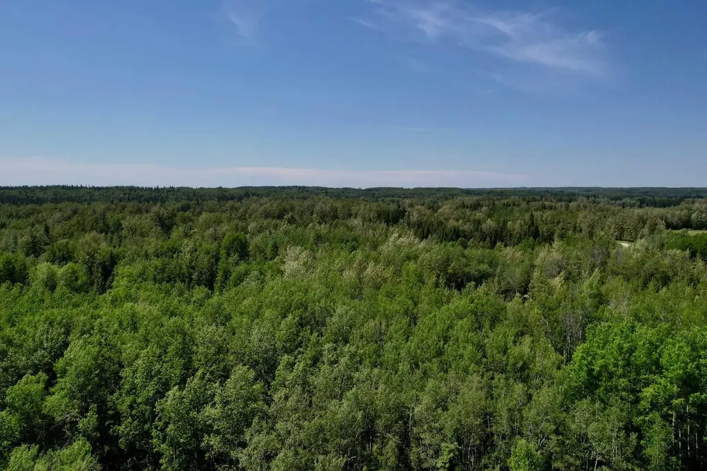 NW-18-62-6-5 Rural Woodlands County AB T0G 1A0
