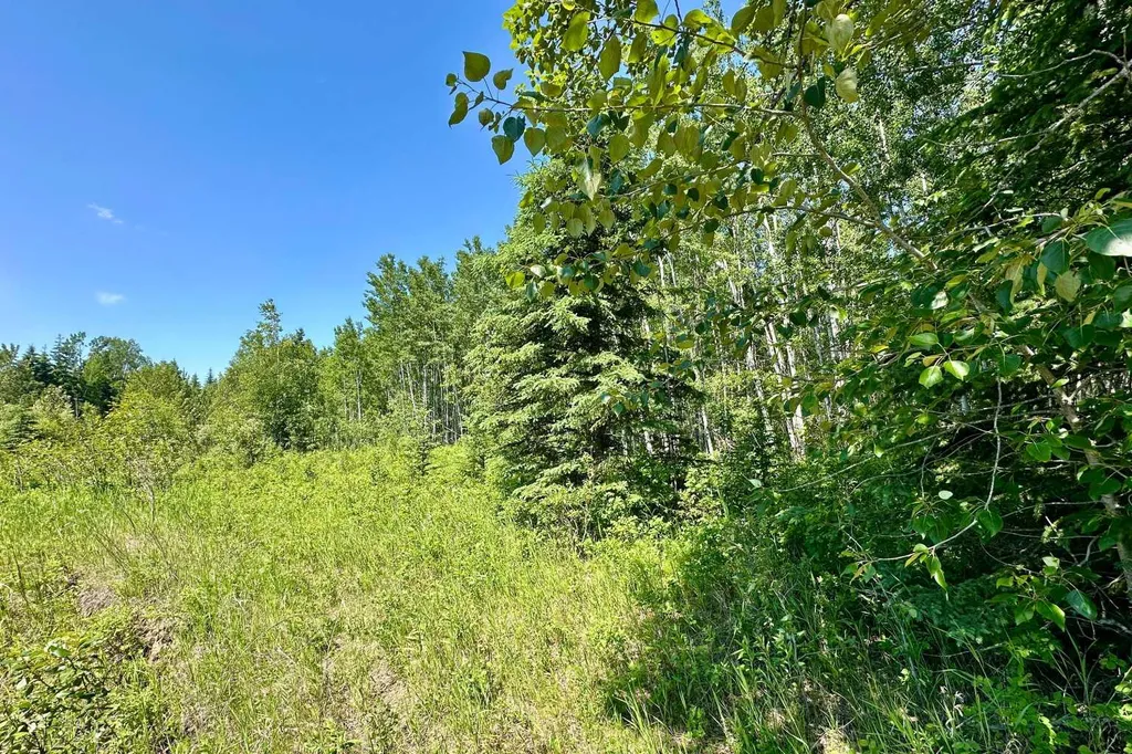 NW-18-62-6-5 Rural Woodlands County AB T0G 1A0