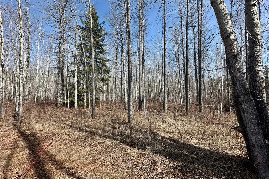 NW-18-62-6-5 Rural Woodlands County AB T0G 1A0