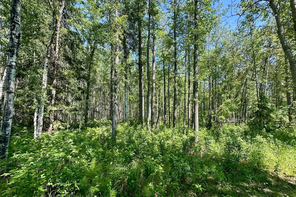 NW-18-62-6-5 Rural Woodlands County AB T0G 1A0