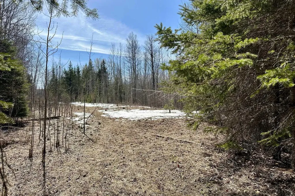 NW-18-62-6-5 Rural Woodlands County AB T0G 1A0