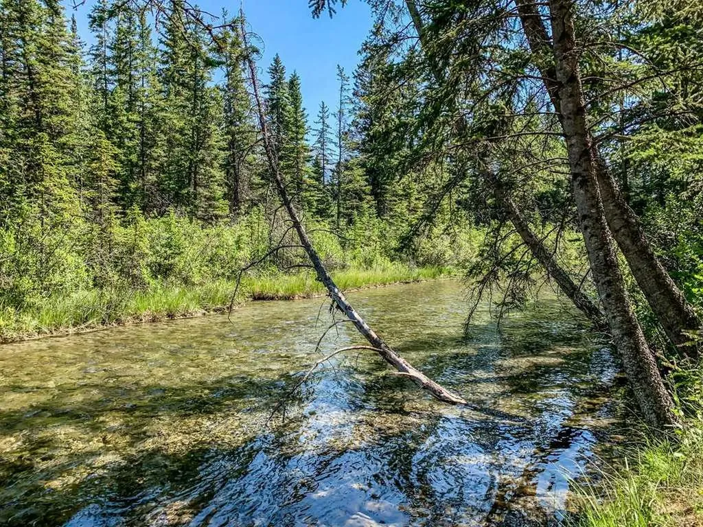 600 Spring Creek Drive Canmore AB T1W 0C8