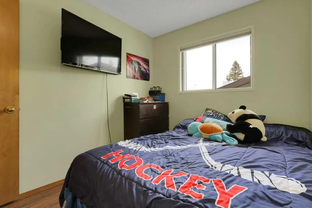250 Cornett Drive Red Deer AB T4P 2W2