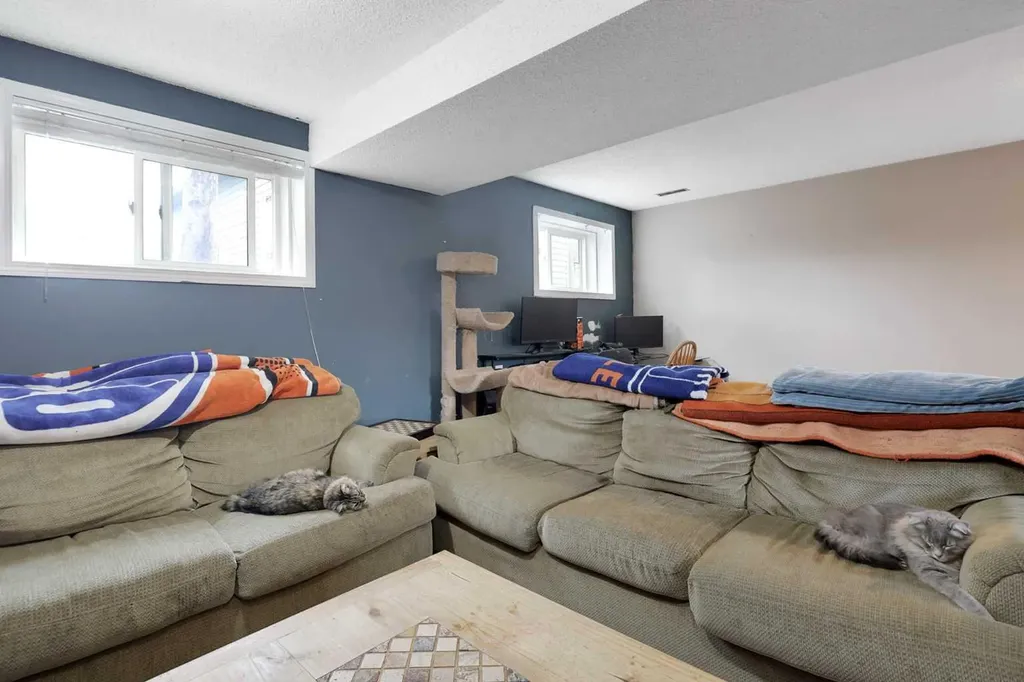 250 Cornett Drive Red Deer AB T4P 2W2
