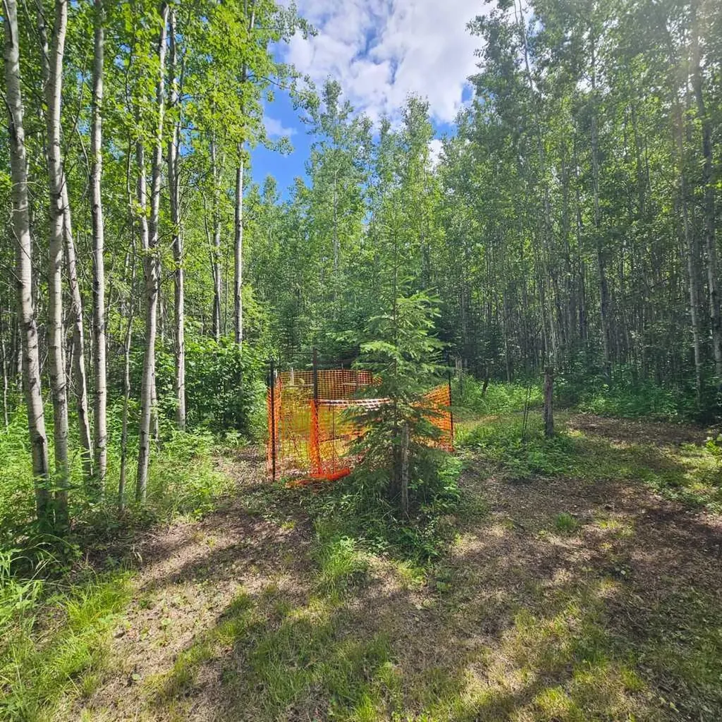 56031 Range Road 153 Rural Yellowhead County AB T7E 3R6