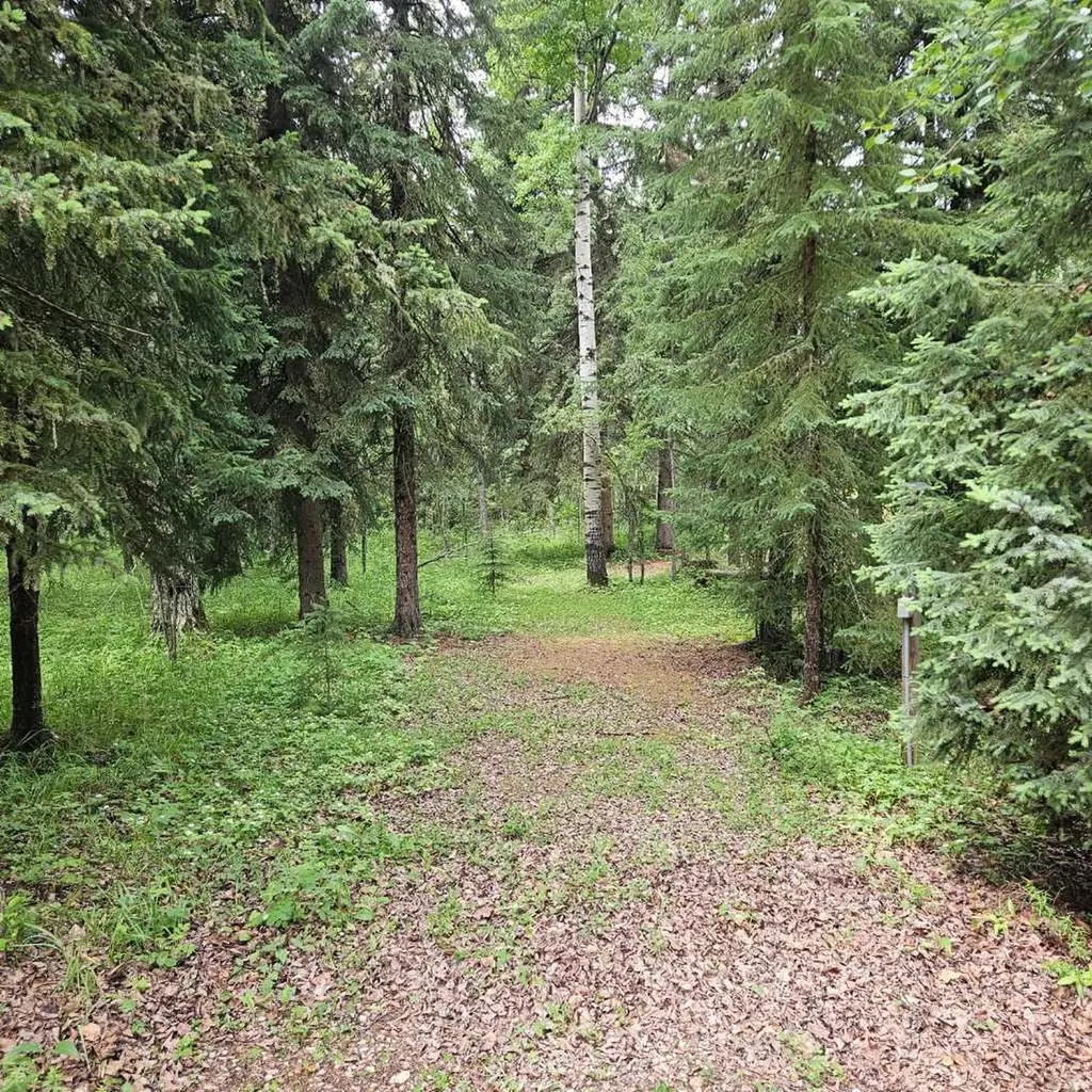 56031 Range Road 153 Rural Yellowhead County AB T7E 3R6