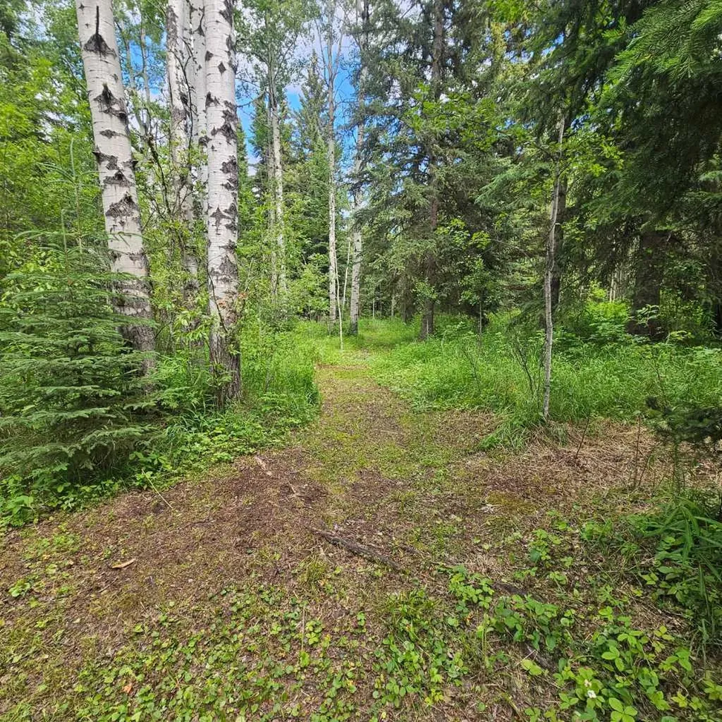 56031 Range Road 153 Rural Yellowhead County AB T7E 3R6