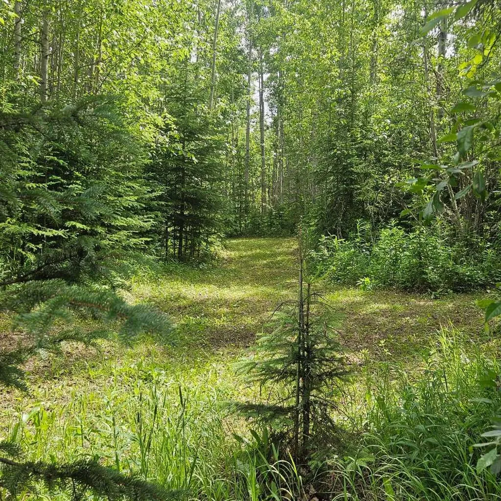 56031 Range Road 153 Rural Yellowhead County AB T7E 3R6