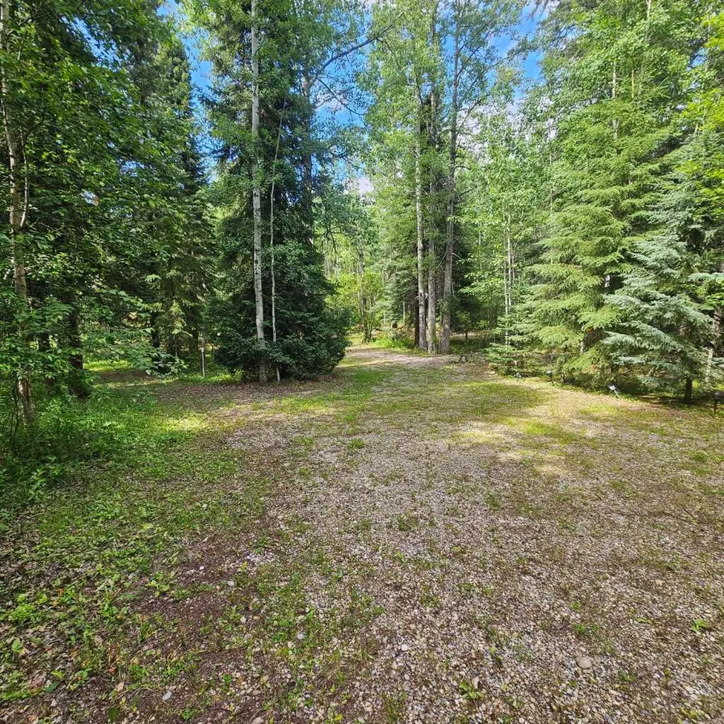 56031 Range Road 153 Rural Yellowhead County AB T7E 3R6