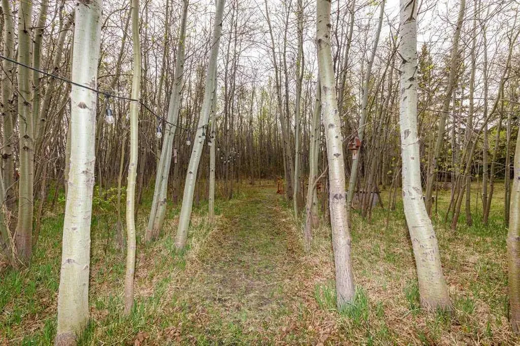 41251 Range Road 210 Rural Camrose County AB T0B 0H0