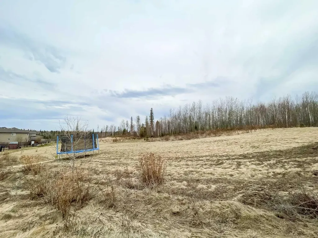 260 Killdeer Fort Mcmurray AB T9K0R2