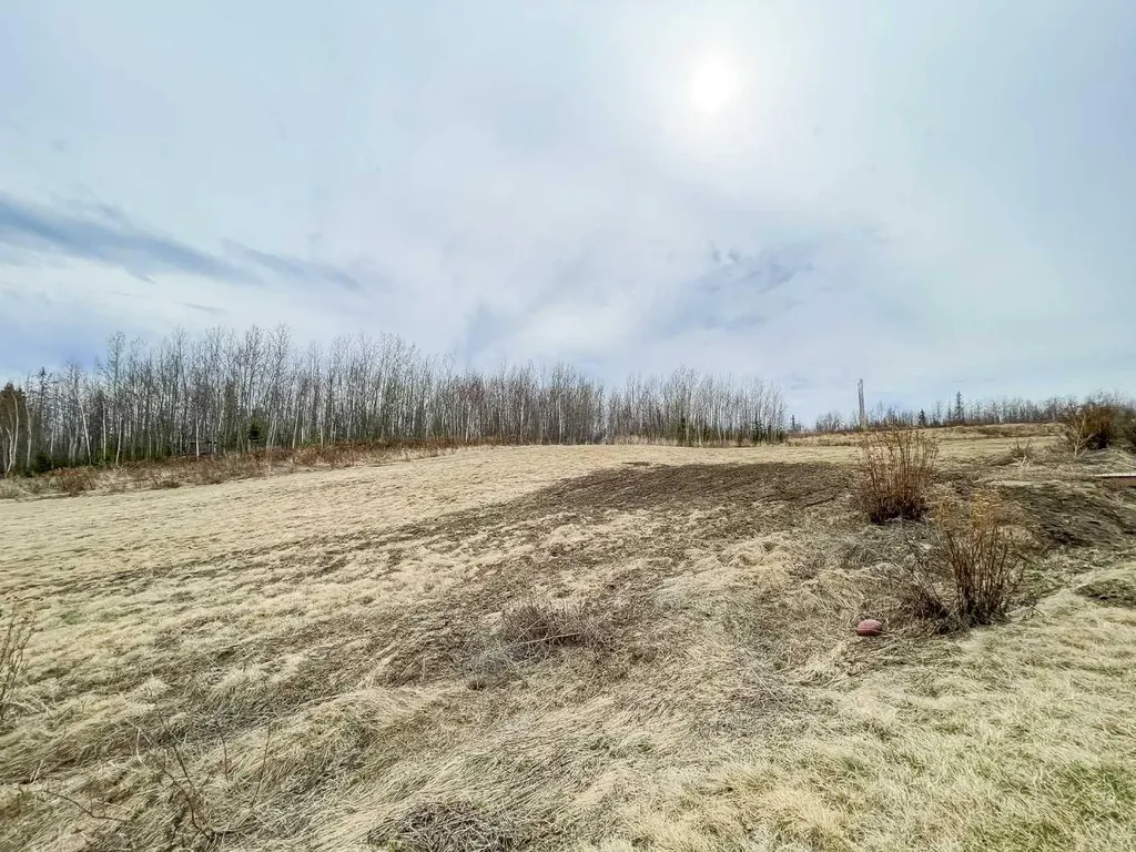 260 Killdeer Fort Mcmurray AB T9K0R2
