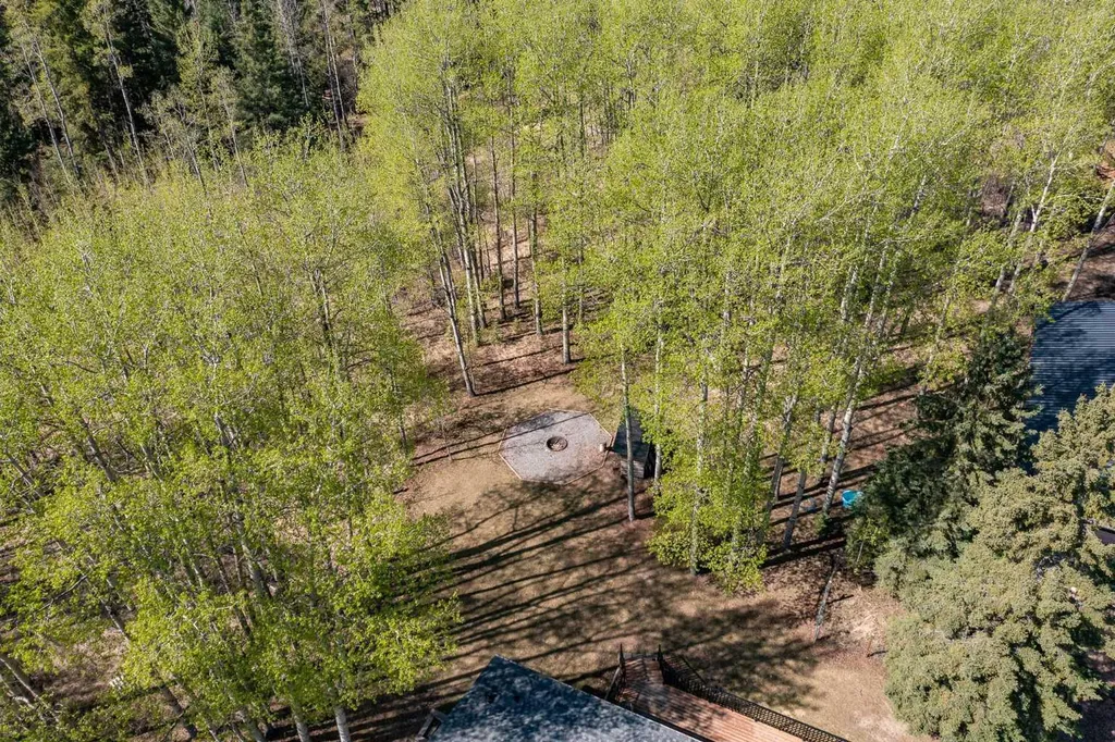 413065 Range Road 6-3 Rural Clearwater County AB T4T 2A1