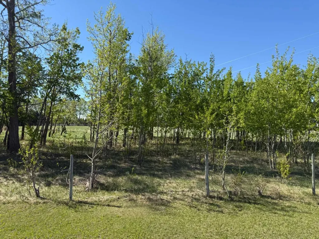 On Township Road 432 Rural Ponoka County AB T4J 1R2