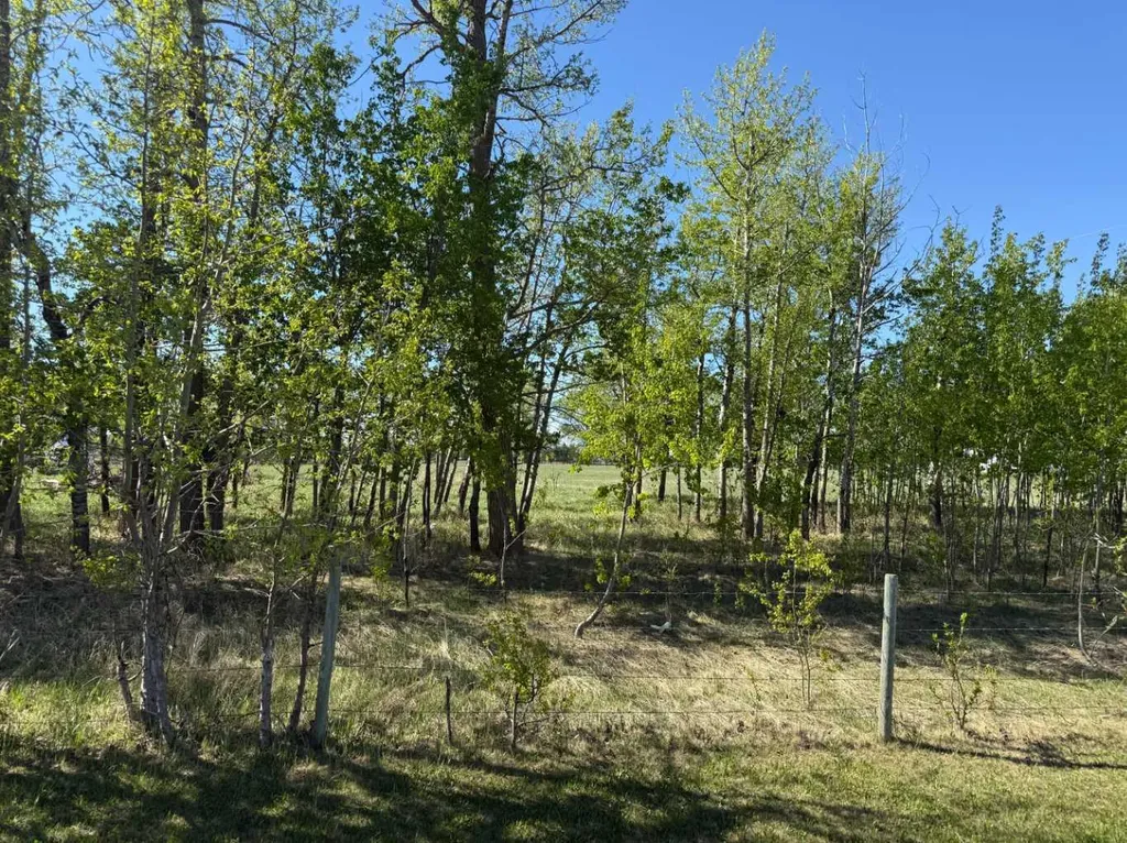 On Township Road 432 Rural Ponoka County AB T4J 1R2