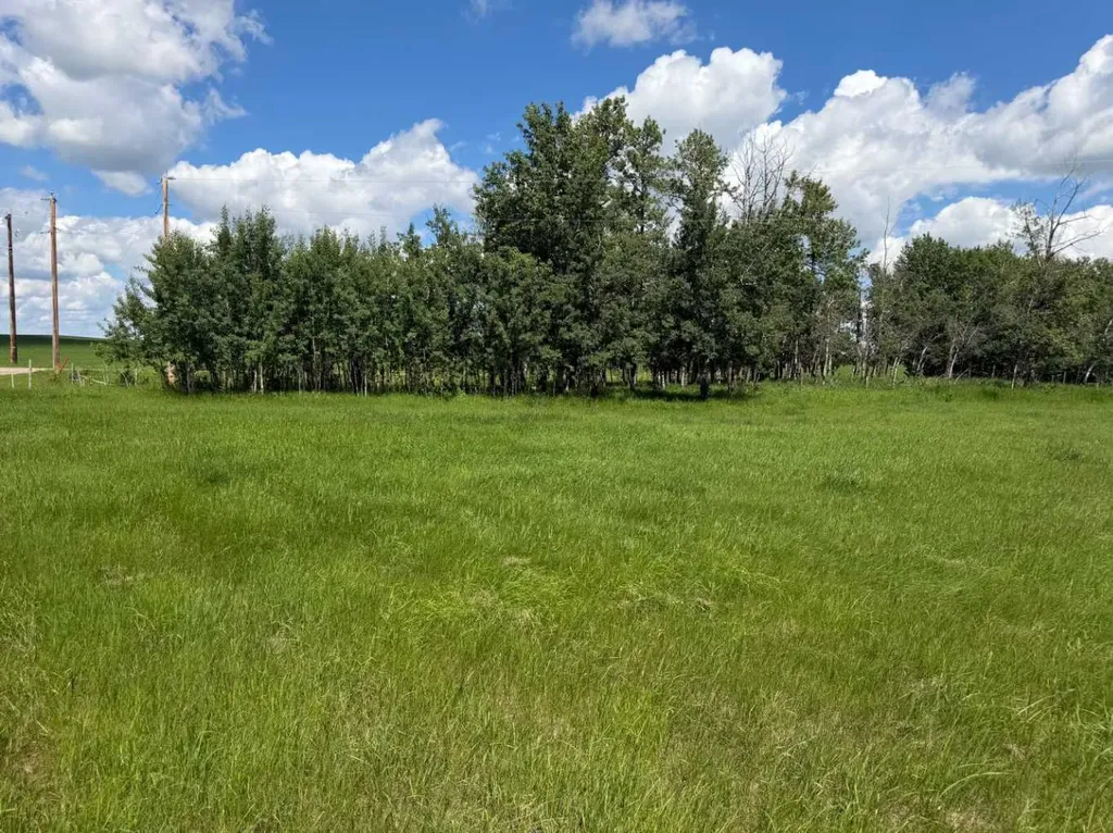 On Township Road 432 Rural Ponoka County AB T4J 1R2