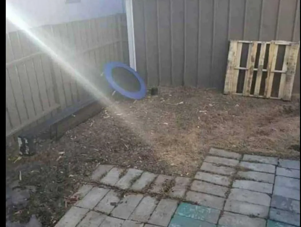 3223 83 Street NW Calgary AB T3B 5N5