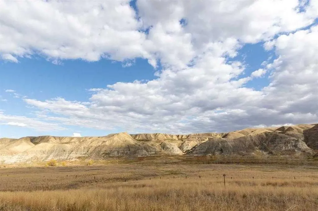 21468 Range Road 13 Bindloss AB T0J0H0