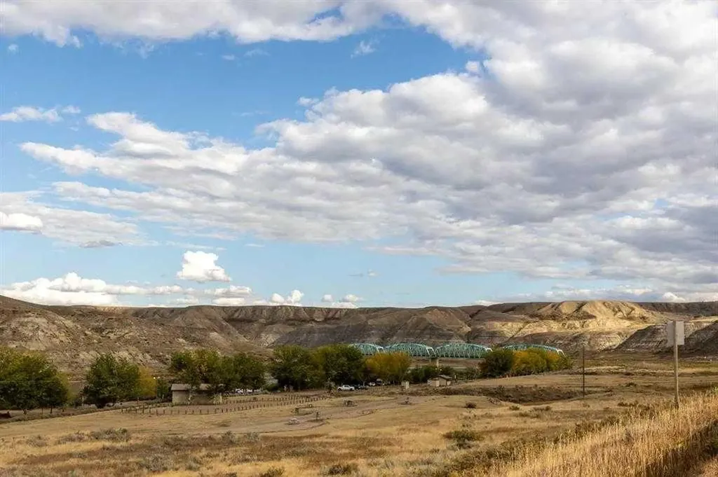 21468 Range Road 13 Bindloss AB T0J0H0