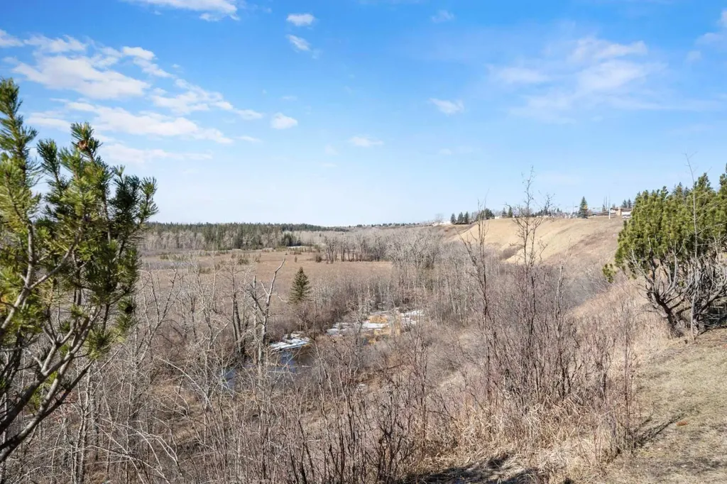 505 Canyon Meadows Drive SW Calgary AB T2W 5V9