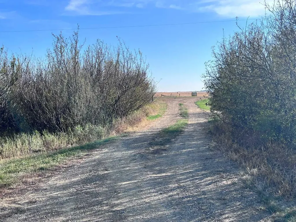 13306 Township Road Rural Special Areas No. 2 AB T0J 1P0