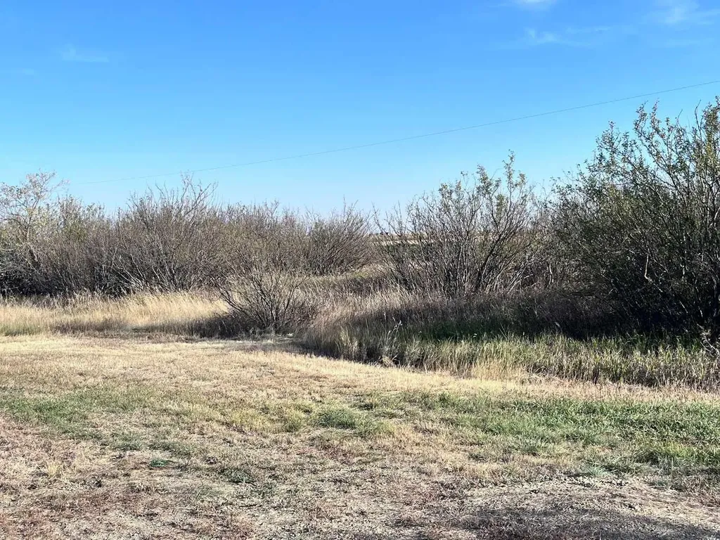 13306 Township Road Rural Special Areas No. 2 AB T0J 1P0