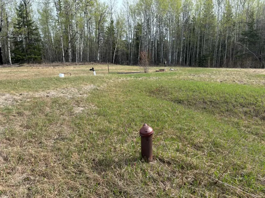 251047 Highway 663 Rural Athabasca County AB T0G 0R0