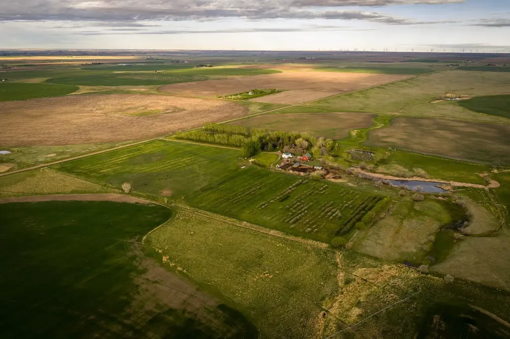 7022 Township Road 120 Rural Cypress County AB T1B 0L1